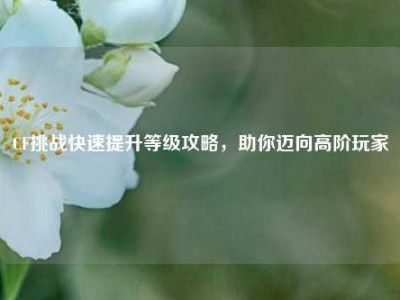 CF挑战快速提升等级攻略，助你迈向高阶玩家