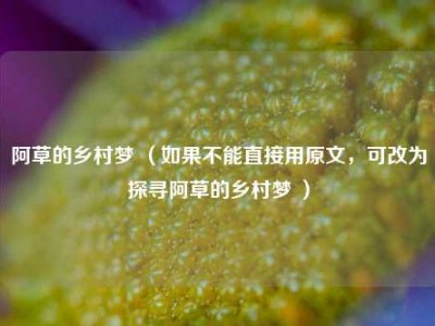 阿草的乡村梦 （如果不能直接用原文，可改为探寻阿草的乡村梦 ）