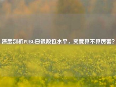 深度剖析PUBG白银段位水平，究竟算不算厉害？