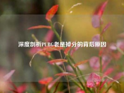 深度剖析PUBG老是掉分的背后原因