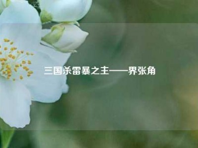 三国杀雷暴之主——界张角