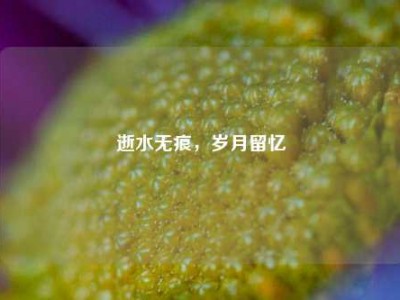 逝水无痕，岁月留忆