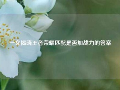 一文揭晓王者荣耀匹配是否加战力的答案