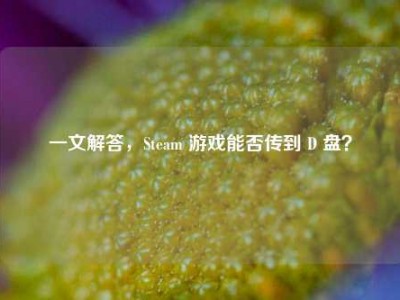一文解答，Steam 游戏能否传到 D 盘？