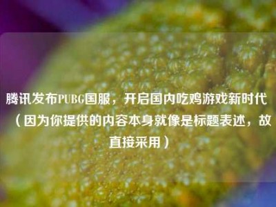 腾讯发布PUBG国服，开启国内吃鸡游戏新时代 （因为你提供的内容本身就像是标题表述，故直接采用）