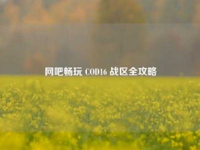 网吧畅玩 COD16 战区全攻略