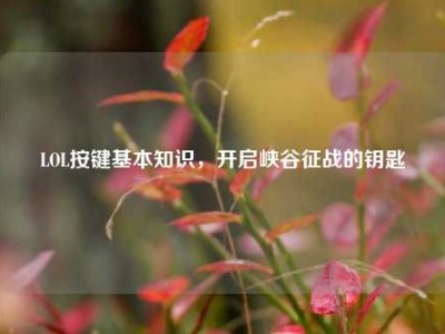 LOL按键基本知识，开启峡谷征战的钥匙