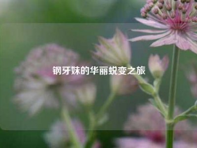 钢牙妹的华丽蜕变之旅