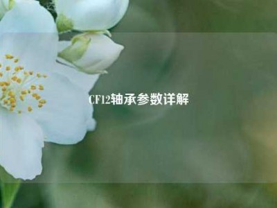 CF12轴承参数详解