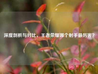 深度剖析与对比，王者荣耀哪个射手最厉害？