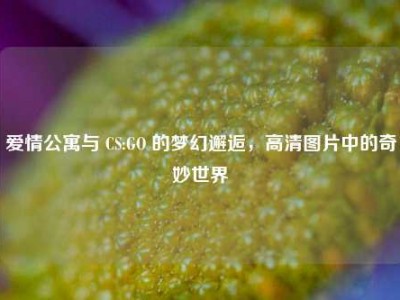 爱情公寓与 CS:GO 的梦幻邂逅，高清图片中的奇妙世界