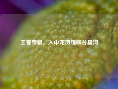 王者荣耀，人中龙凤耀峡谷星河