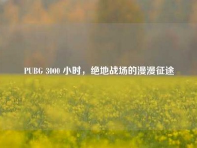 PUBG 3000 小时，绝地战场的漫漫征途