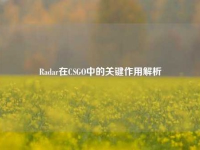 Radar在CSGO中的关键作用解析