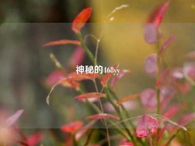神秘的468yy