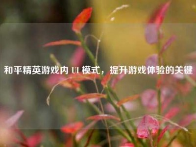 和平精英游戏内 UI 模式，提升游戏体验的关键
