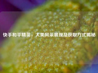 快手和平精英，大美风采展现及获取方式揭秘