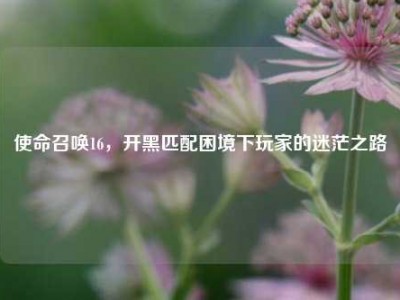 使命召唤16，开黑匹配困境下玩家的迷茫之路