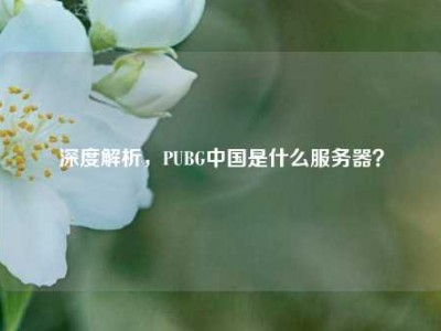 深度解析，PUBG中国是什么服务器？