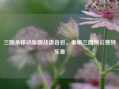 三国杀移动版国战语音包，奏响三国风云独特乐章