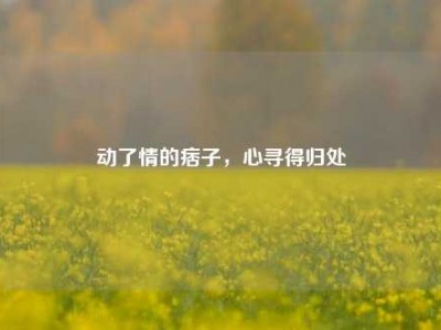 动了情的痞子，心寻得归处