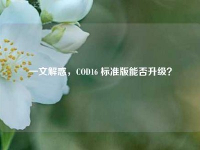 一文解惑，COD16 标准版能否升级？