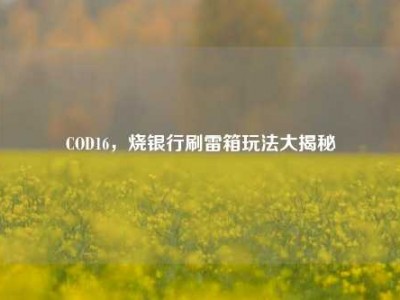 COD16，烧银行刷雷箱玩法大揭秘