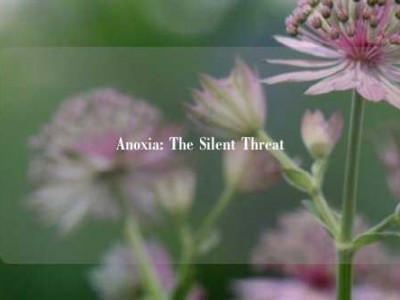 Anoxia: The Silent Threat