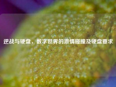 逆战与硬盘，数字世界的激情碰撞及硬盘要求