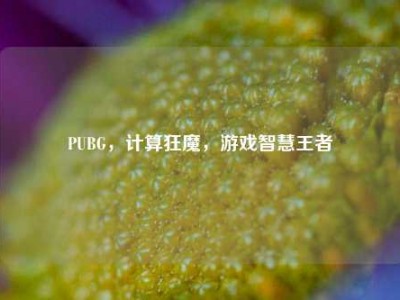 PUBG，计算狂魔，游戏智慧王者