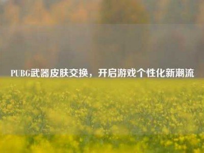 PUBG武器皮肤交换，开启游戏个性化新潮流