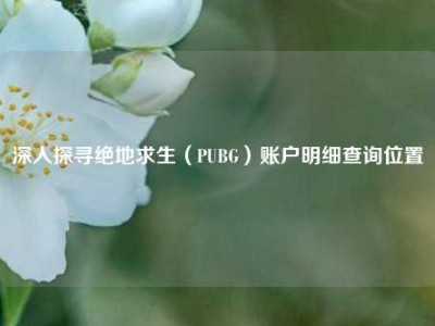 深入探寻绝地求生（PUBG）账户明细查询位置