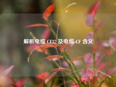 解析电缆 CF37 及电缆 CF 含义