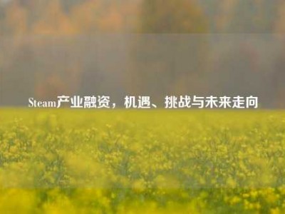 Steam产业融资，机遇、挑战与未来走向