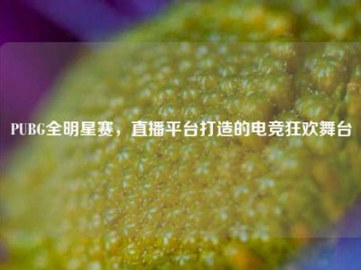 PUBG全明星赛，直播平台打造的电竞狂欢舞台