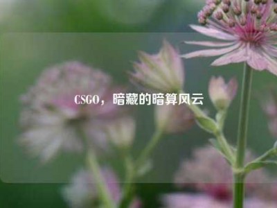 CSGO，暗藏的暗算风云