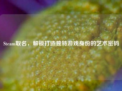 Steam取名，解锁打造独特游戏身份的艺术密码
