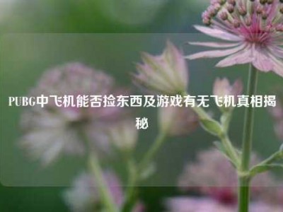 PUBG中飞机能否捡东西及游戏有无飞机真相揭秘