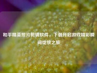 和平精英照片剪辑软件，下载开启游戏精彩瞬间绽放之旅