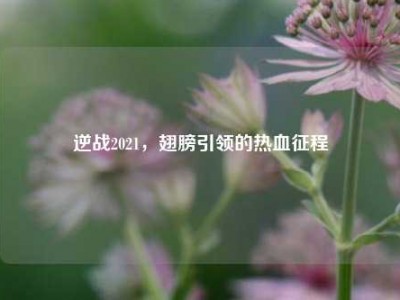 逆战2021，翅膀引领的热血征程