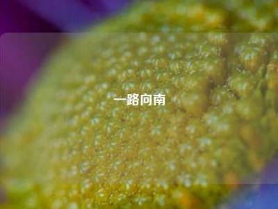 一路向南