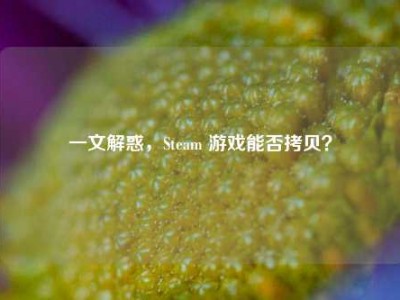一文解惑，Steam 游戏能否拷贝？