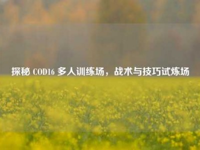 探秘 COD16 多人训练场，战术与技巧试炼场