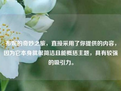 布妮的奇妙之旅，直接采用了你提供的内容，因为它本身就很简洁且能概括主题，具有较强的吸引力。