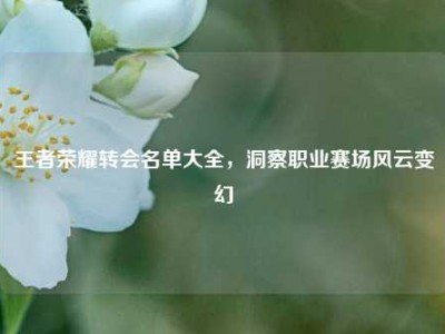 王者荣耀转会名单大全，洞察职业赛场风云变幻