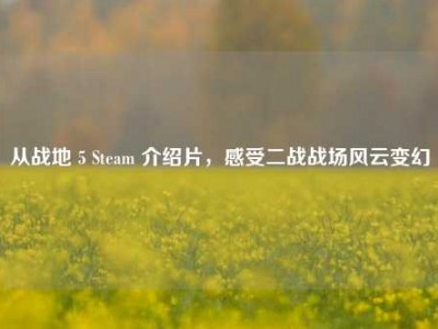 从战地 5 Steam 介绍片，感受二战战场风云变幻