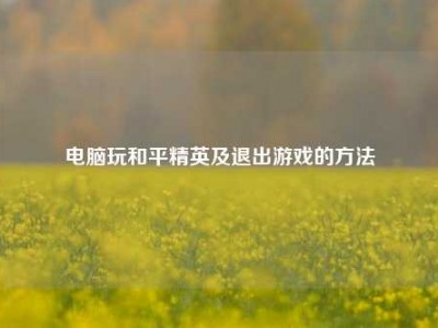 电脑玩和平精英及退出游戏的方法