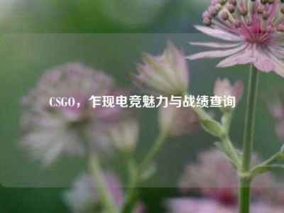 CSGO，乍现电竞魅力与战绩查询