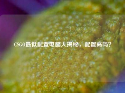 CSGO最低配置电脑大揭秘，配置高吗？