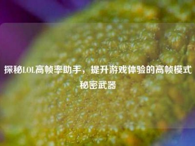 探秘LOL高帧率助手，提升游戏体验的高帧模式秘密武器